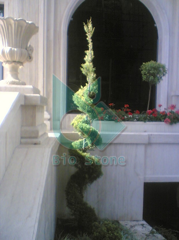نمای بیرونی 11